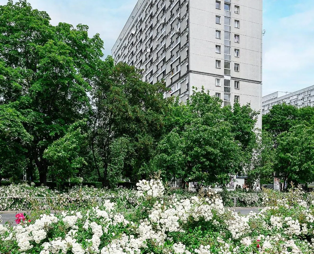 Walicow 20 P&O Apartments Warszawa